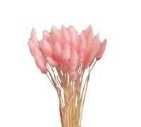 Garneck 20pcs Natural Dried Flower Bouquet Light Tail Grass Bunch for Home Wedding Floral Arrangements Vibrant Colors Natural-looking Decor