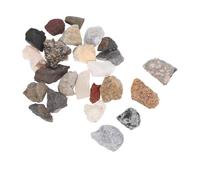Garneck 24pcs Rock and Mineral Collection Kit for Educational Natural Stone Specimens in Sturdy Display Box for Geology Teaching Science Exploration and Classroom Learning