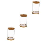 Garneck 3sets Hydroponic Glass Terrarium Planter Bottle Lid for Indoor Plants Transparent Container for Home Decor for Moss and Gardens
