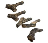 Garneck 5pcs Ordovician Stromatoporoid Specimens Paleontology Science Decoration Educational Table Adornments for Collectors