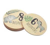 Garneck 7pcs Baby Progress Cards Double-Sided Printing Discs for Newborn Monthly Milestones Decor