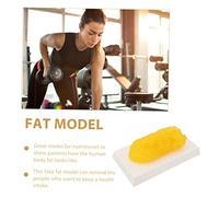 Garneck Anatomical Fat Model Realistic Human Body Fat Simulation for Weight Loss Motivation Fitness Trainer Demonstration Tool Educational Anatomy Course Aid