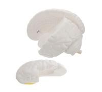 Garneck Anatomical Human Brain Model with Removable Parts for Educational Teaching Realistic Structure with Hemispheres and White Scale Model for Psychology Biology Science Study