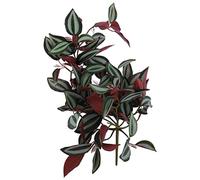Garneck Artificial Plants Greenery Garland Wandering Jew Hanging Artificial Plant Plants