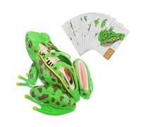 Garneck Detachable Frog Anatomy Model Interactive Educational Dissection Kit for Science Learning with Realistic Organs Safe Biology Teaching Tool for School and Home