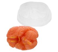 Garneck Disassembled Human Brain Model with Precise Anatomical Replication and Cross Section Display, 3-part Pvc Brain Anatomy Model for Science Classroom and Study