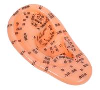 Garneck Ear Acupuncture Practice Model 17cm, Human Ear Simulation Kit for Reflexology Teaching, Acupressure Training Supply for Alternative Medicine Students