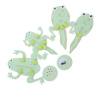 Garneck Frog Growth Model Kit for Students Diy Tadpole Transformation Cycle Educational Material for Preschool Science Learning Comprehensive Biological Experiment