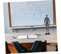 Garneck Male Muscle Anatomical Model with Base Muscular System Figure for Art Teaching and Drawing Reference Detailed Human Body Muscle Structure Sculpture for Education and Random Color