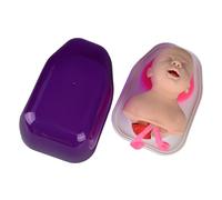 Garneck Oral Nasal Management Model for Lab Education Training Realistic Simulator for Teaching Clinical Practice and Science Training