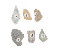 Garneck Ore Stone Specimen Natural Mineral Teaching Tool for School Science Education with Diverse Rock Samples Stem Collection for Classroom Learning