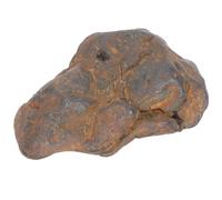 Garneck Real Meteorite Specimen Educational Meteorolite Model for Classroom Teaching and Table Decor Authentic Olivine Iron Meteorite From Northwest Africa Space Science Ornament for