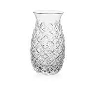 Garneck Relief Pineapple Pattern Wine Glass Tumbler 480ml Embossed Glass Drinking Cup for Bar Juice Parties Adults