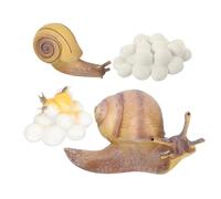 Garneck Snail Growth Cycle Educational for Realistic Fake Snail Models for Biological Learning Creative Sensory Plaything Set Nature Cognition Random Style