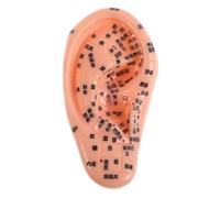 Garneck Soft Silicone Human Ear Model 14cm with Acupuncture Points for Chinese Medicine Teaching and Ear Meridian Massage Simulation