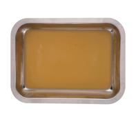 Garneck Stainless Steel Dissection Tray for Biological Experiments, Small Metal Lab Dissecting Pan with Wax Tray, Medical Laboratory Organizer Suitable for Teaching and Storage