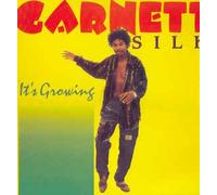 Garnett Silk / It's Growing