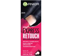 Garnier Hair Color Express Retouch Gray Hair Concealer Instant Gray Coverage Black 1 Count