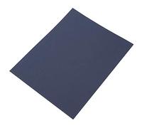 Garosa 100PCS P800 Grit Pegasus Sandpaper Wet Dry Abrasive Paper Sanding Paper for Wood Furniture Finishing Metal Sanding Automotive Polishing