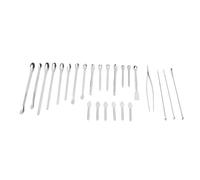 Garosa 24 Micro Spoons 304 Stainless Steel Laboratory Spoon Spatula Set for Sampling with 1 Tweezers Long Handle Storage Box Multiple Sizes Dual Head Design Easy Clean