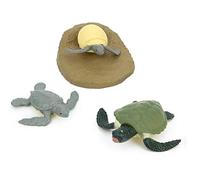 Garosa Animal Life Cycle Model Toy, PVC Educational Chick & Tortoise Growth Stages, Fun Learning Tool for Kids in Classroom, Homeschool Activities (#2)