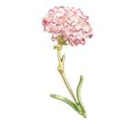 GAROZATION 1pc Alloy Carnation Shape Brooch Corsage Decorative Breastpin for Clothing Accessory Elegant Design for Sweater Coat Formal Dress