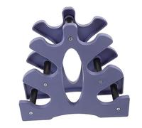 GAROZATION Abs Dumbbell Rack Stand with Stable Base for Home Gym Fitness Storage Wear Holder for Dumbbells Hollow Blue Grey for Weightlifting Accessories