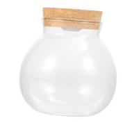 GAROZATION DIY Microlandscape Bottle Ecological Bottle for DIY Micro Landscape, White High Borosilicate Glass and Wood, LED Lighting Decoration, Fish Tank Jar for Room Decoration