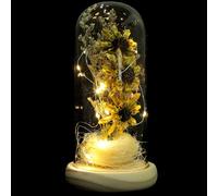 GAROZATION LED Sunflower Glass Dome Light Mini Flower Night Lamp with Yellow Preserved Flower, Decorative Plant Light for Home Desk Ornament