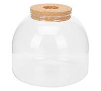 GAROZATION Micro Landscape Ecological Bottle Diy Glass Landscaping Container for Indoor Plants Home Decor Garden Accessories