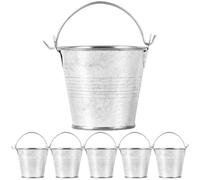 GAROZATION Miniature Metal Buckets 6Pcs for Flower Display and Pen Storage with Handles Small Iron Planters Suitable for Home and Florist Shop