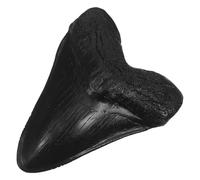 GAROZATION Realistic Resin Megalodon Shark Tooth Decor with Serrated Edges Ancient Shark Tooth Craft for Museum Display Biology Teaching Model and Nautical Home Ornament