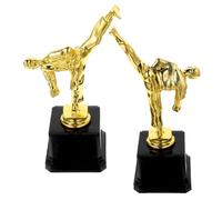 GAROZATION Taekwondo with Realistic Appearance Golden 2pcs Trophy and Bright Colour Competition Prize Award Cup for Contests and Parties Celebration