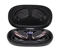 Garsent AI Translation Earphones, Bluetooth 5.4 Real Time Translator Device with 164+ Languages Support, HD Sound and Noise Reduction, for Android IOS Winds Travel Business (Black)