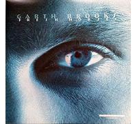 Garth Brooks - Fresh Horses Vinyl Record