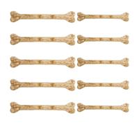 GARVALON 10 Pcs Halloween Plastic Bones Set Large and Small Fake Bones with Holes for DIY Decorations Artificial Charms for Halloween Crafts and Party Props