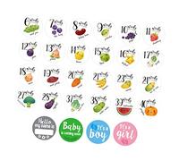 GARVALON 28pcs Pregnancy Weekly Belly Stickers Maternity Women Belly Decals Self-Adhesive Photo Props for Expecting Mothers Newborn Set