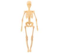 GARVALON Anatomy Skeleton Model Full-body Human Skeleton DIY Assembly Educational Tool Lightweight Medical Teaching Aid for Students and Science Learning