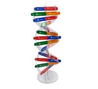 GARVALON Dna Model Educational Science for DIY Human Genes Double Helix Assembly Kit Self Assembling Stem Teaching Aid for Biology Class and Home Learning Random Color