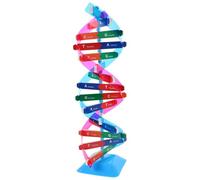 GARVALON Educational Dna Model Kit for Students Interactive Double Helix Structure with Components Genetics Learning Tool for Biology Teaching Classroom and Home Science Exhibitions