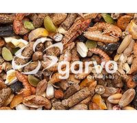 Garvo 1055 Alfamix Chickens 12.5kg