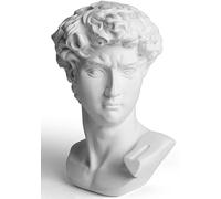 Garwor David Statue Head Sculptures 6" Michelangelo David Bust Figurine Classic Greek Roman Bust Home Decor Office Decor