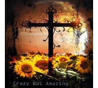 Gary Fordham - Crazy But Amazing