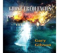 Gary Gibson Ghost Frequencies Paperback Book Gary Gibson Multicolor