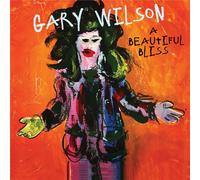 Gary Wilson - A Beautiful Bliss [VINYL]