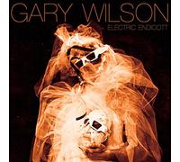 Gary Wilson – Electric Endicott – CD