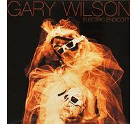 Gary Wilson - Electric Endicott [VINYL]