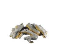 Gas Fire Beech Log 9 Piece Grey Coloured Beechwood Effect Log Set Suitable For Gas Electric and LPG Fires by Coals 4 You