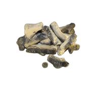 Gas Fire Driftwood Log 9 Piece Sand Coloured Burnt Effect Driftwood Set Suitable For Gas Electric and LPG Fires by Coals 4 You
