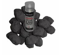 Gas Fire Replacement Coals Rejuvenation Kit 20 Small Cast Coals 400ml Tin Of High Temperature Stove Coal Spray Paint Coals 4 You